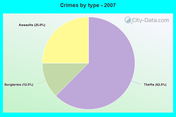 Crimes by type - 2007