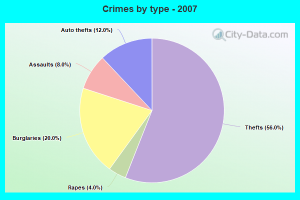 Crimes by type - 2007