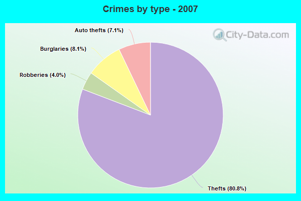 Crimes by type - 2007