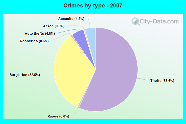 Crimes by type - 2007