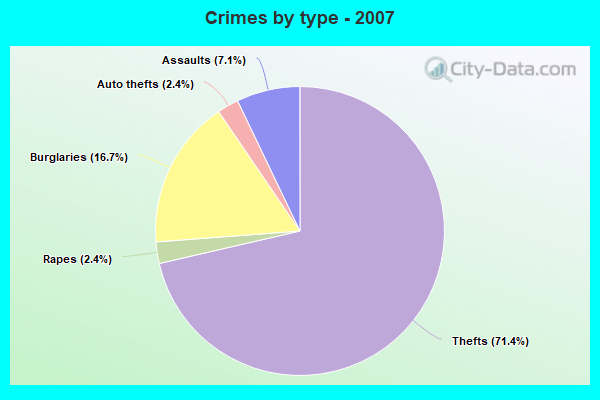 Crimes by type - 2007