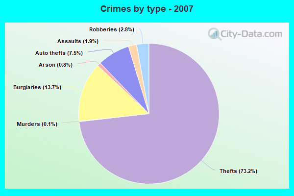 Crimes by type - 2007