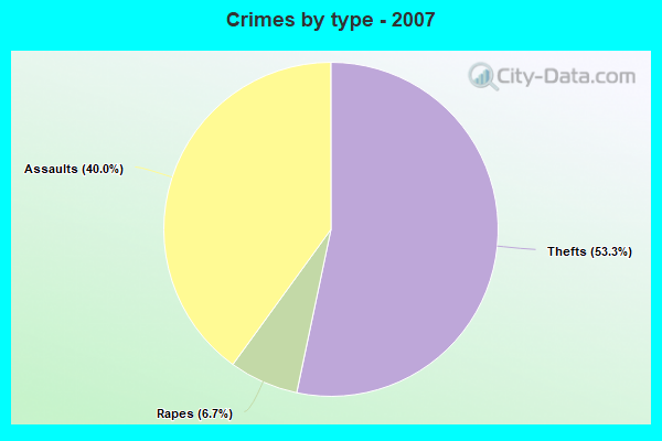 Crimes by type - 2007