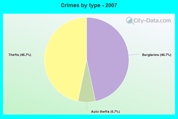 Crimes by type - 2007