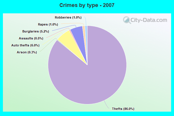 Crimes by type - 2007