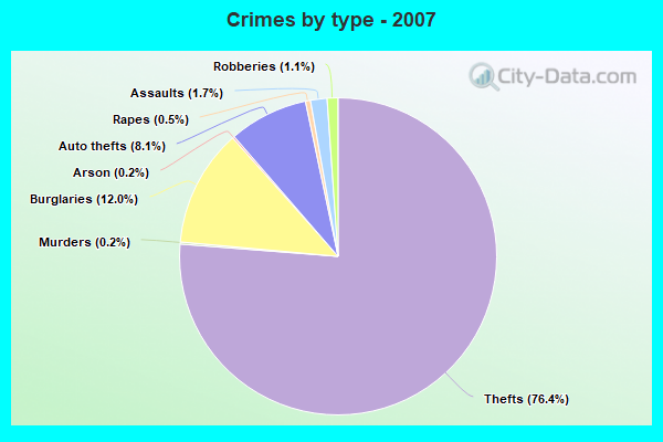 Crimes by type - 2007