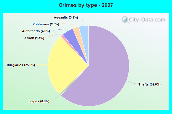 Crimes by type - 2007