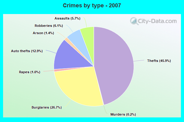 Crimes by type - 2007