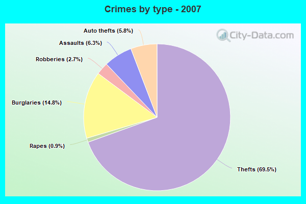 Crimes by type - 2007