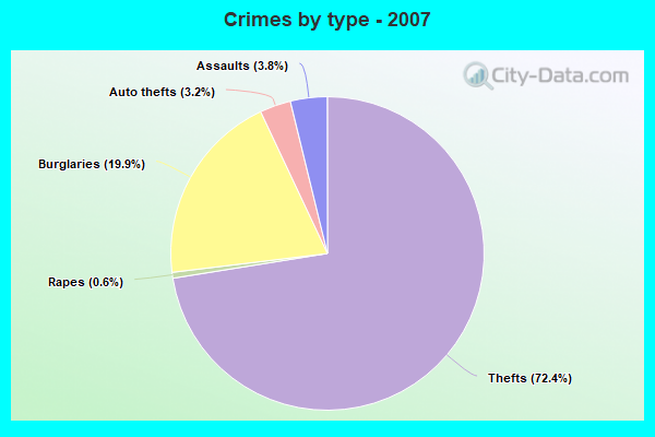 Crimes by type - 2007