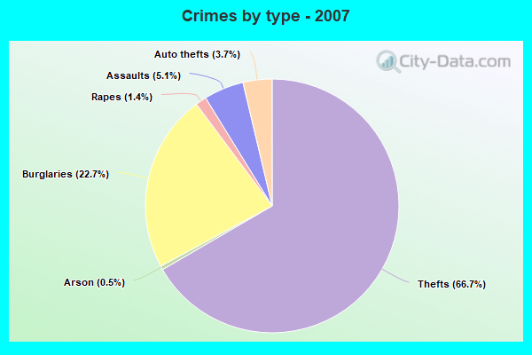 Crimes by type - 2007