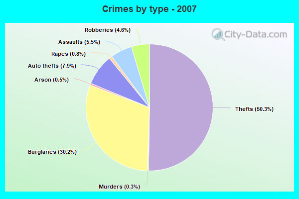 Crimes by type - 2007