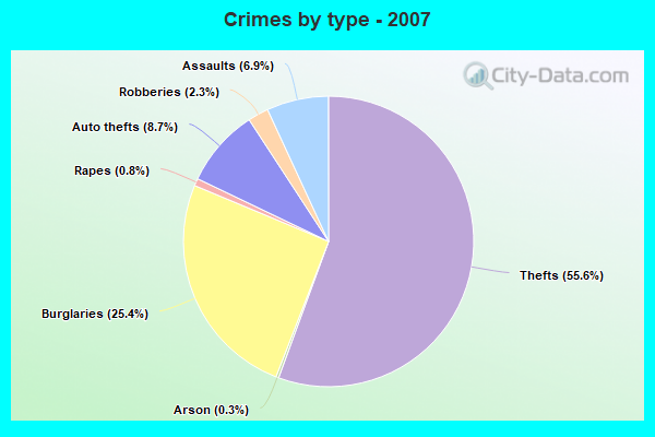 Crimes by type - 2007