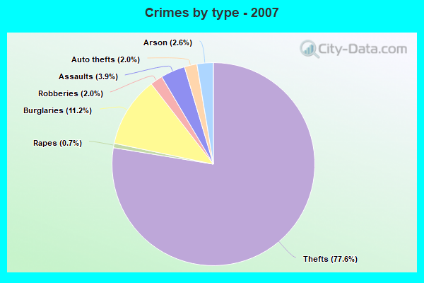 Crimes by type - 2007