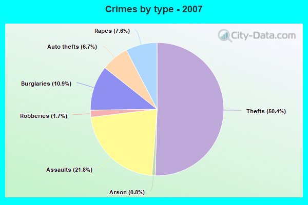 Crimes by type - 2007