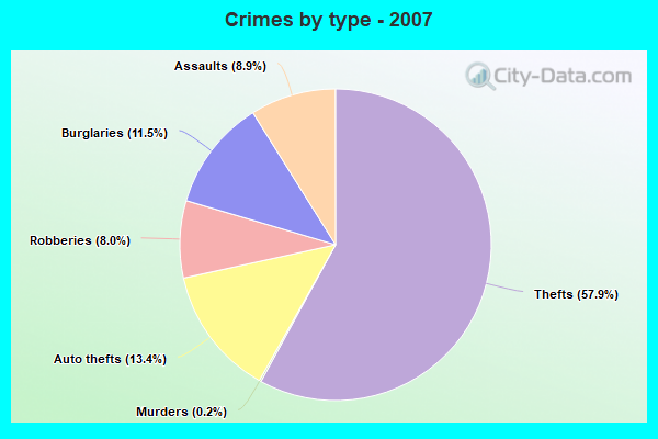 Crimes by type - 2007