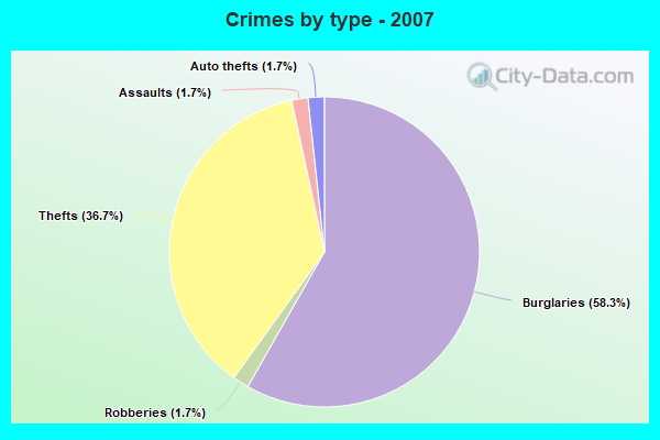 Crimes by type - 2007