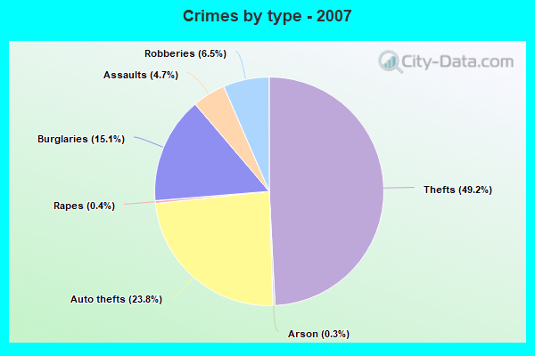 Crimes by type - 2007