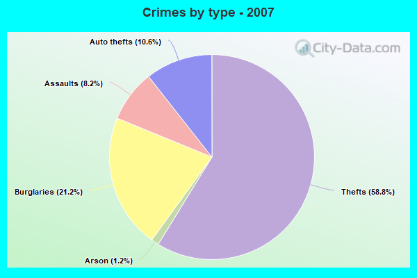 Crimes by type - 2007