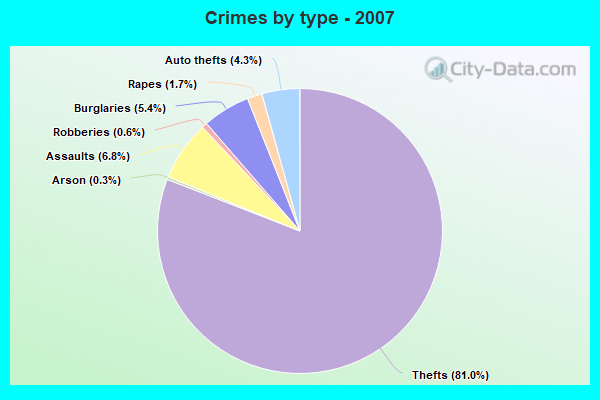 Crimes by type - 2007