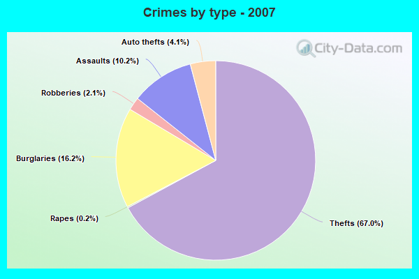 Crimes by type - 2007