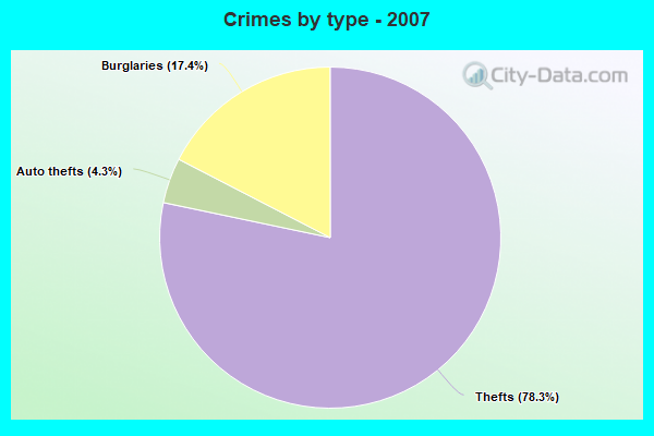 Crimes by type - 2007