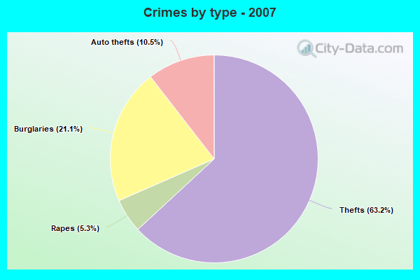 Crimes by type - 2007