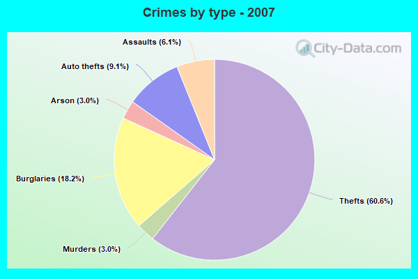 Crimes by type - 2007