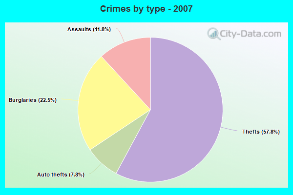 Crimes by type - 2007