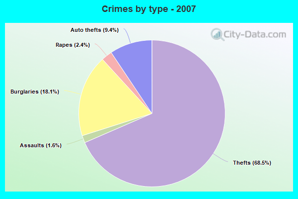 Crimes by type - 2007