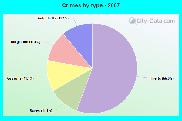 Crimes by type - 2007