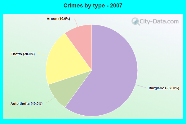 Crimes by type - 2007