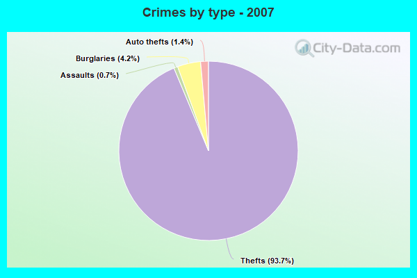 Crimes by type - 2007