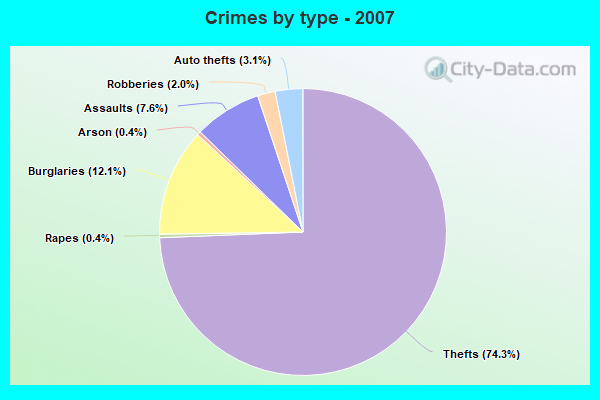 Crimes by type - 2007