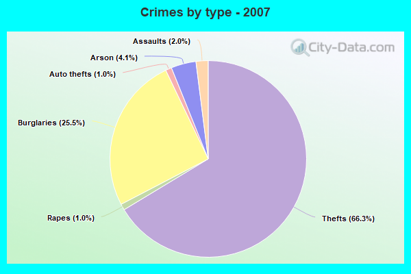 Crimes by type - 2007