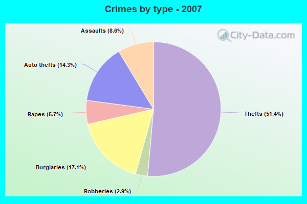 Crimes by type - 2007