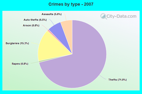 Crimes by type - 2007