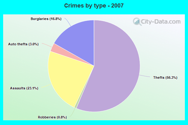 Crimes by type - 2007