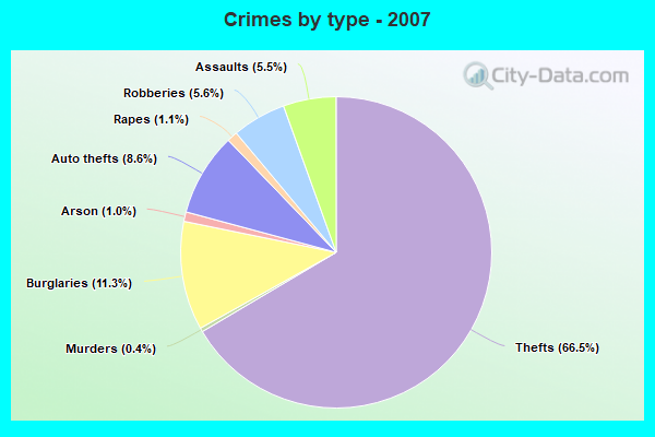 Crimes by type - 2007