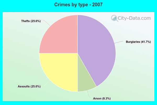 Crimes by type - 2007