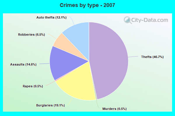 Crimes by type - 2007