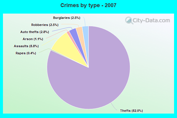 Crimes by type - 2007