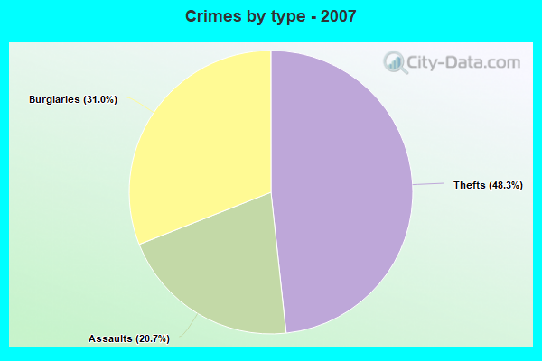 Crimes by type - 2007