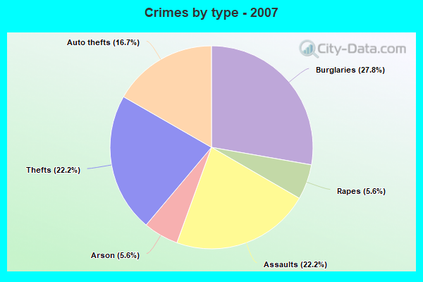 Crimes by type - 2007