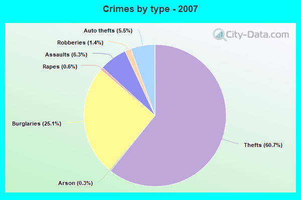 Crimes by type - 2007