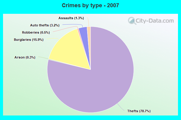 Crimes by type - 2007