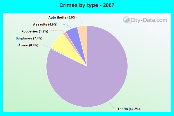 Crimes by type - 2007