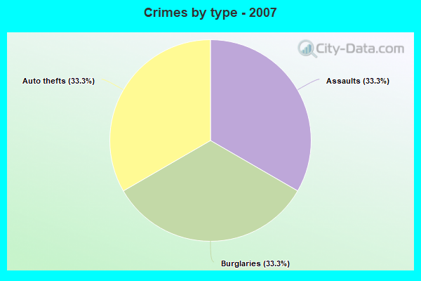 Crimes by type - 2007