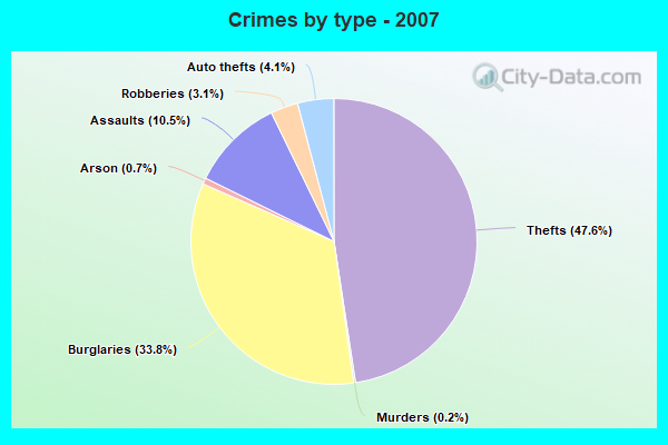 Crimes by type - 2007