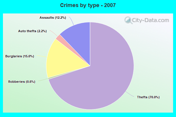 Crimes by type - 2007